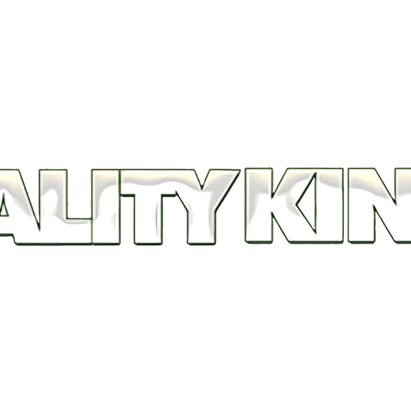 Reality Kings Review