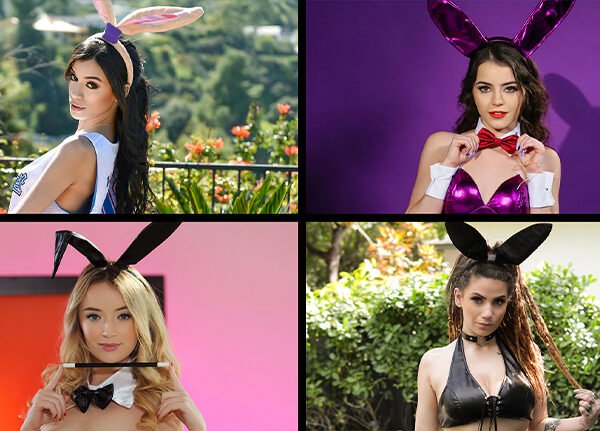 Bunny Babes Compilation