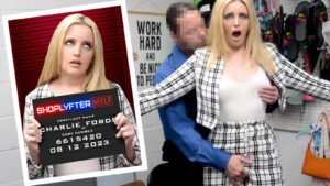 Case No 6615420 The Mall Owner'S Wife