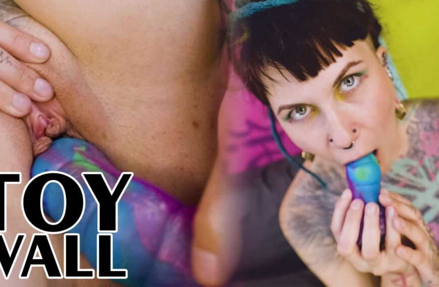 Tattooed Model Toy Testing ZFilmz Toywall Ep3