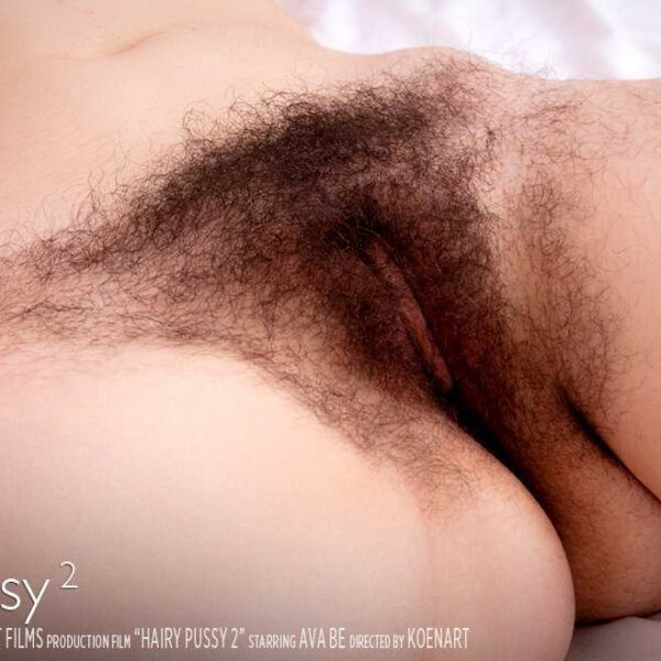 Hairy Pussy 2
