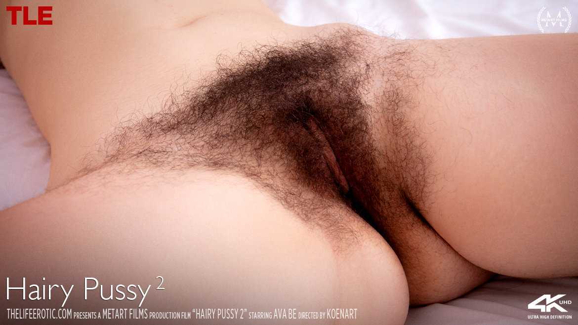 Hairy Pussy 2
