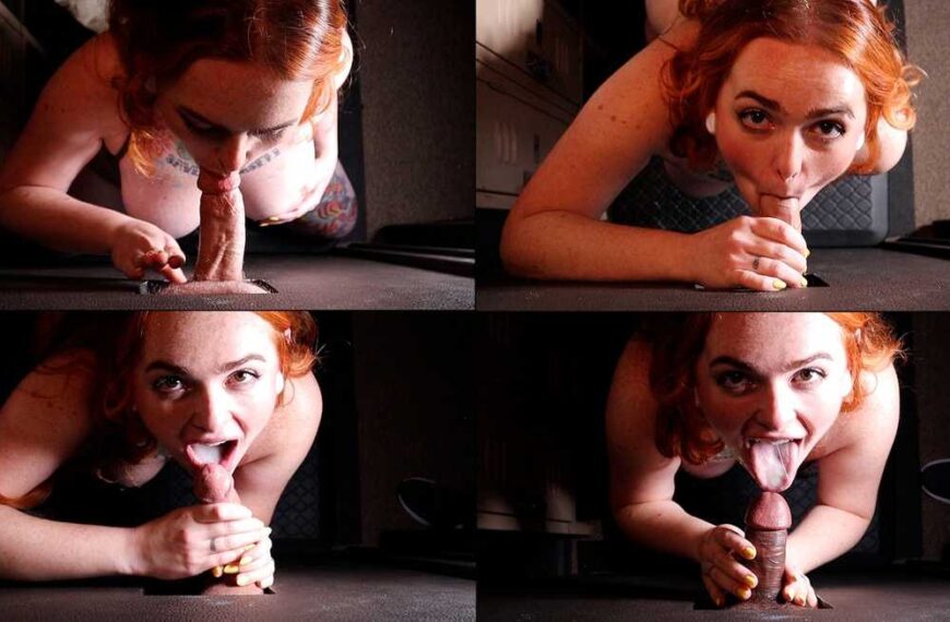 She Sucks Your Dick In A Box