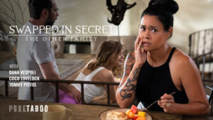 Swapped In Secret The Other Family