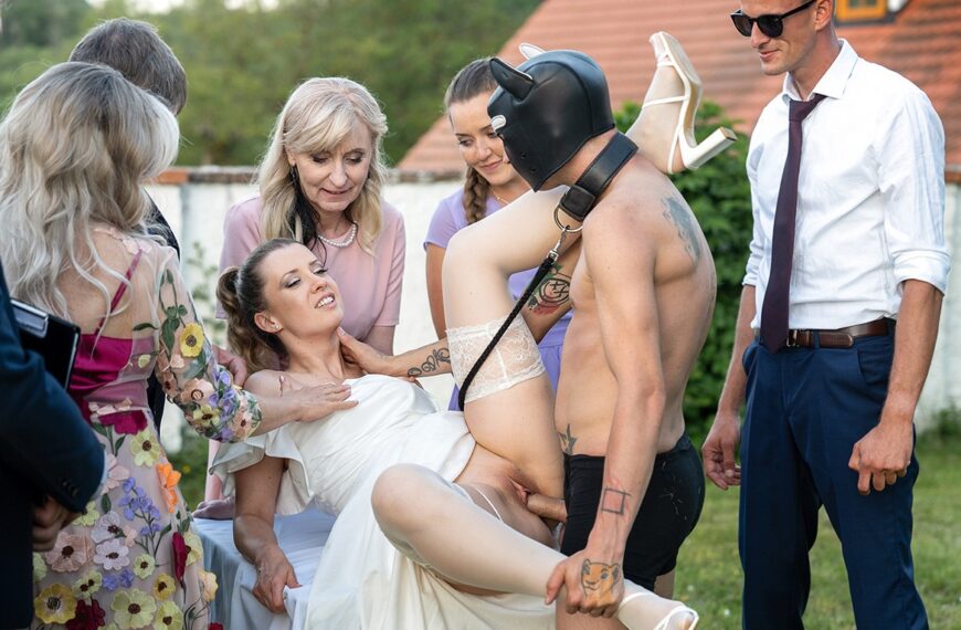 Releasing Wedding Hound