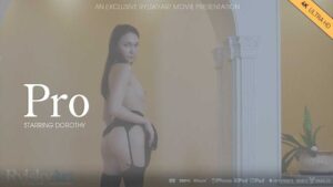 Pro 2025