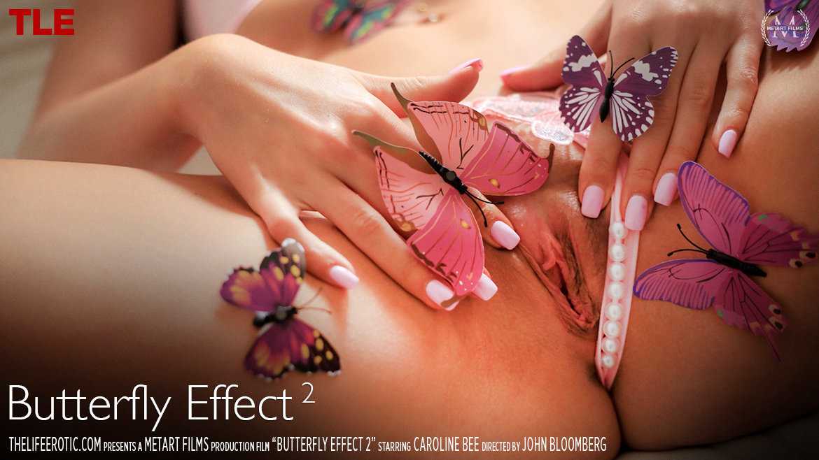 Butterfly Effect 2 2025