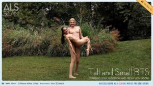 Tall And Small Bts 2025