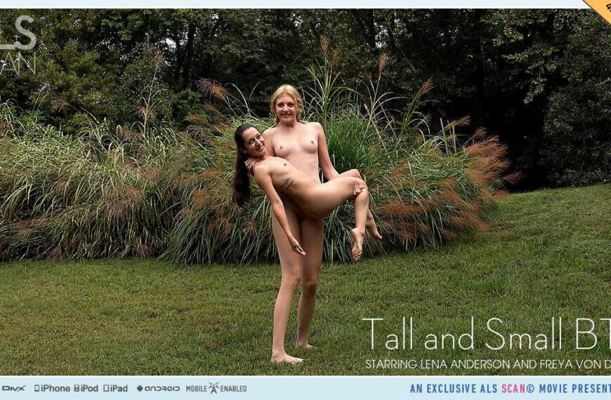 Tall And Small Bts 2025