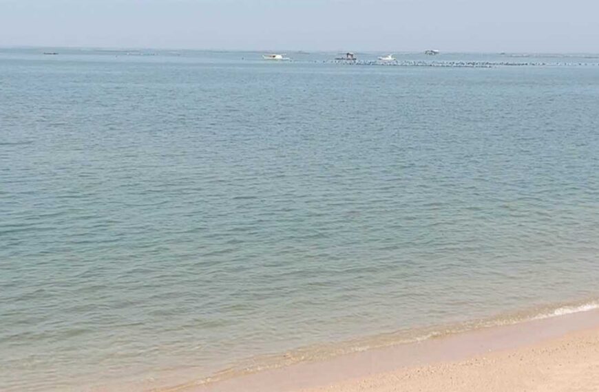 Warm Pattaya Beach Vegging