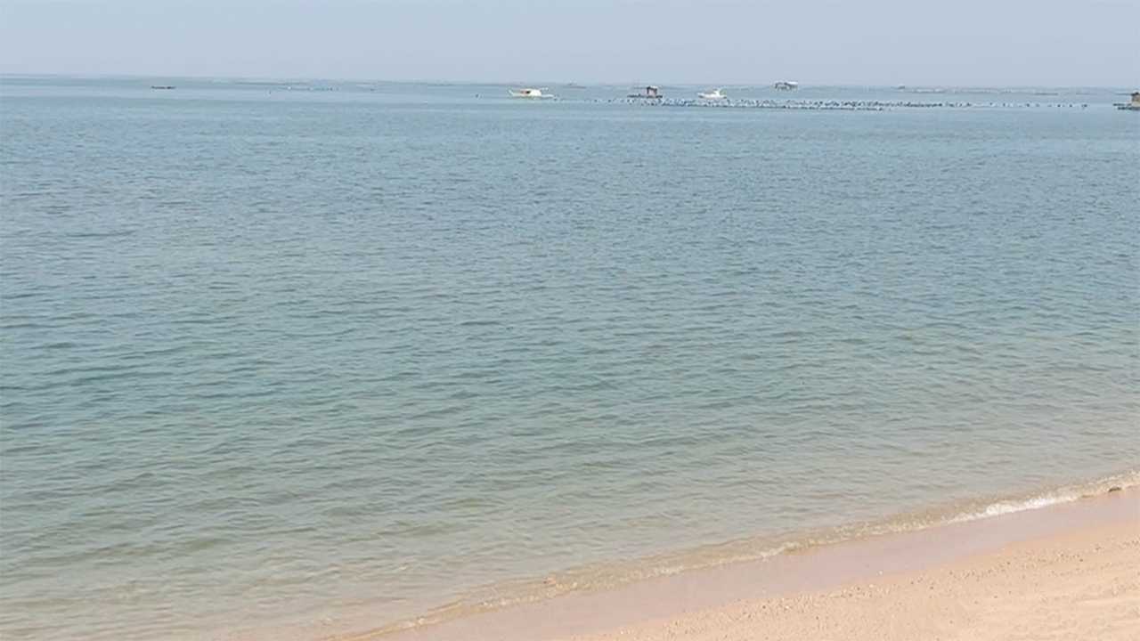 Warm Pattaya Beach Vegging