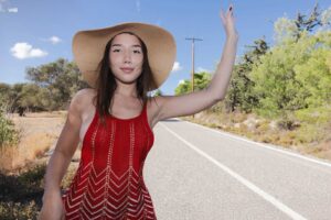 Sexy Hitchhiker
