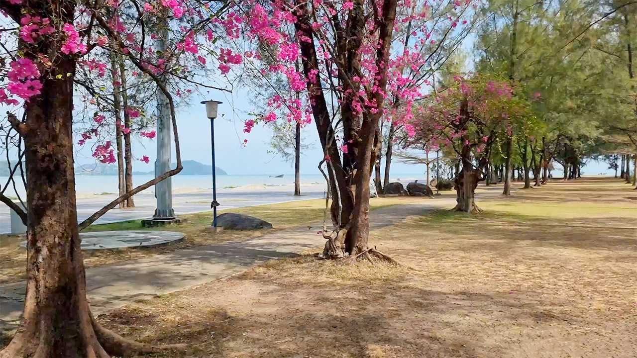Saphan Hin Park Local Spot